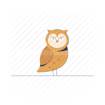 owl, bird, animal, wildlife, nature